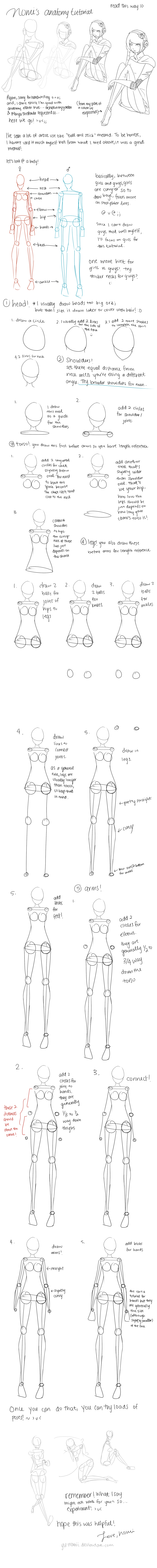 anatomy tutorial