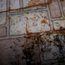 Moldy floor tile stock 1