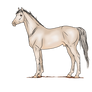 AS Silver Brumby