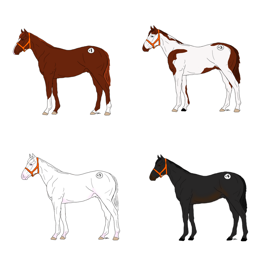 New Years TB Adoption - CLOSED|CLAIMERS