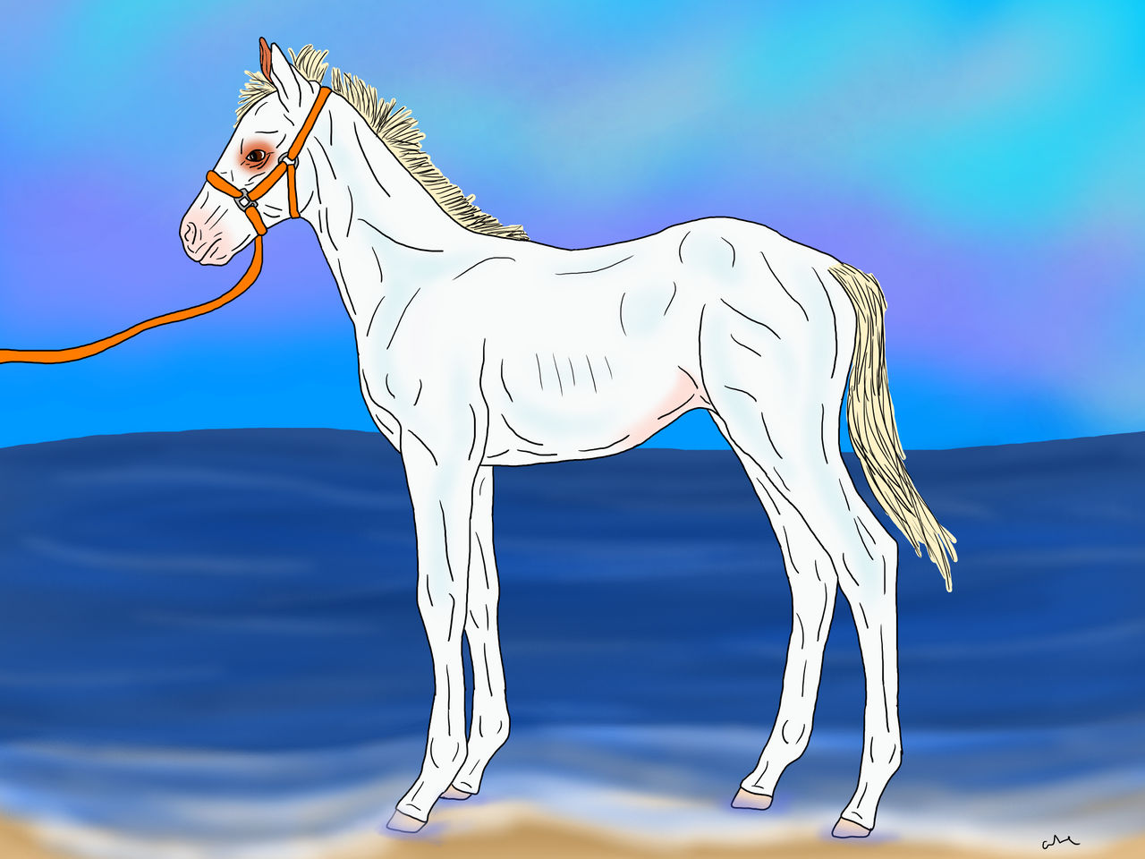 Winter on the Sand