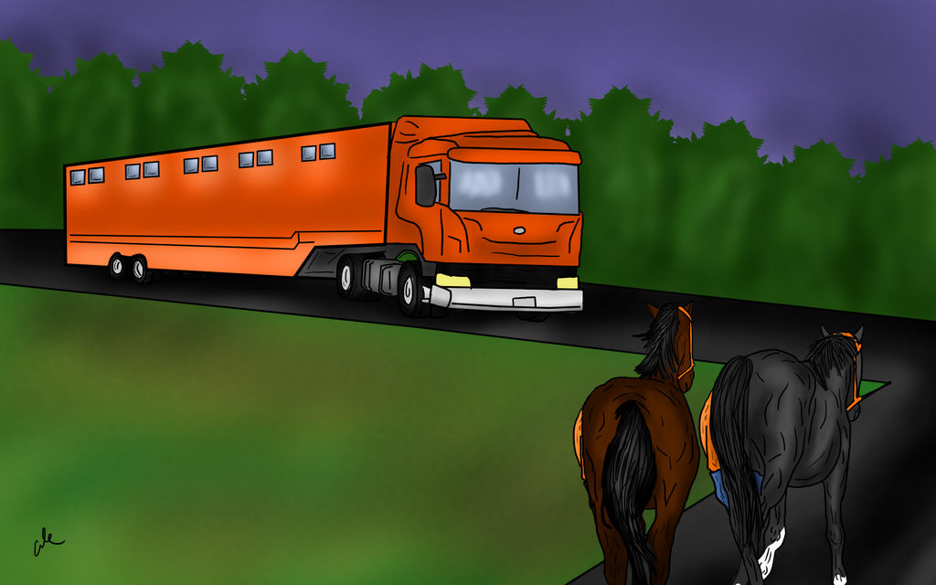 On the Way to the Breeders Cup
