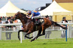 Order-of-St-George Gold-Cup-at-Royal-Ascot web by CapNRCubey