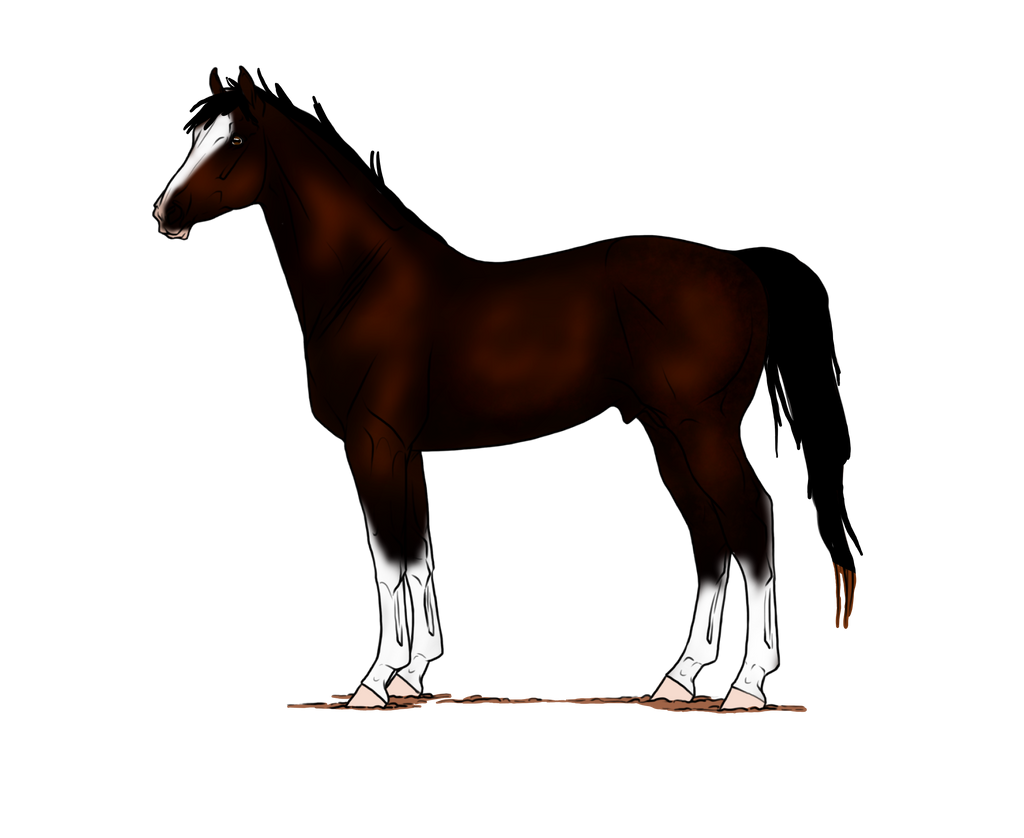 Committed SOLD by CapNRCubey on DeviantArt