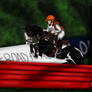 FEI European Eventing Championships