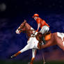 Samwise the Polo Pony