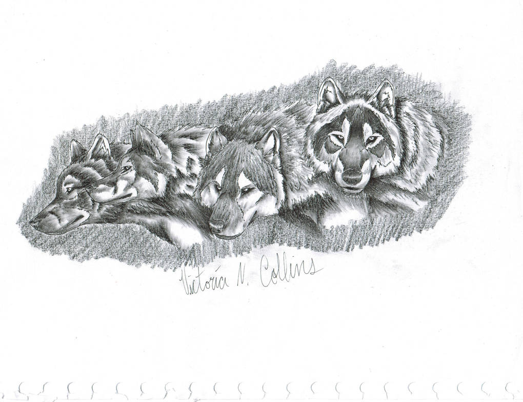 My Wolf Pack by Vetyl on DeviantArt