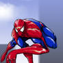Spider-Man by paneseeker