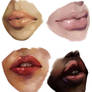 Lip Study