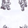 Biro sketches of the Ixi