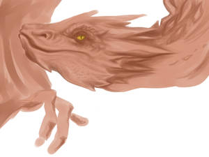 Smaug- W.I.P