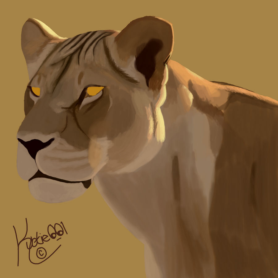 Step 2 of lioness
