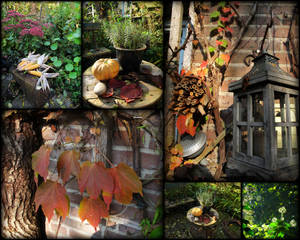 Autumn in our garden