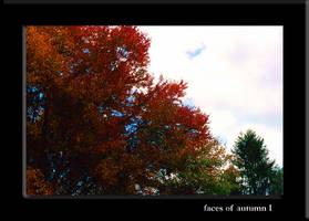 faces of autumn I