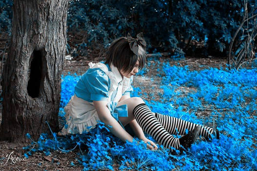 Ciel in wonderland - Ciel phantomhive cosplay