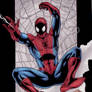 Spiderman color