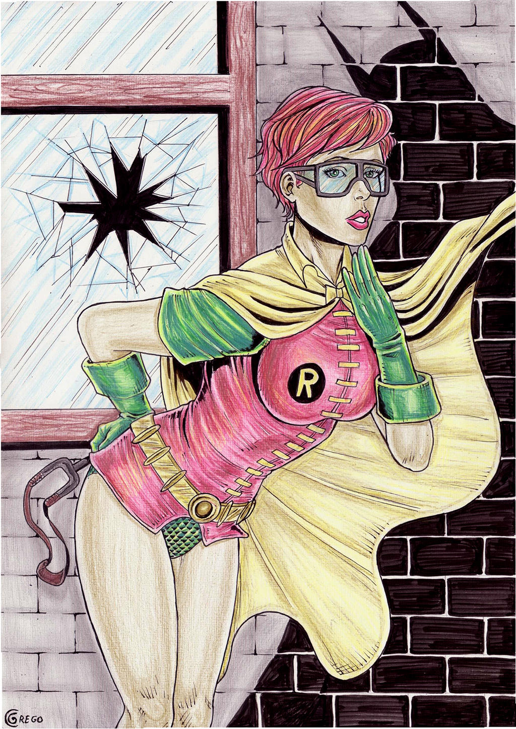 Carrie kelley robin