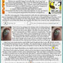 Complex GIMP Eye Tut. Part I