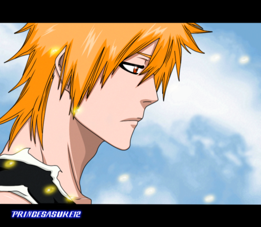 Bleach 422- The Day will Comes