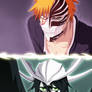 Bleach 345