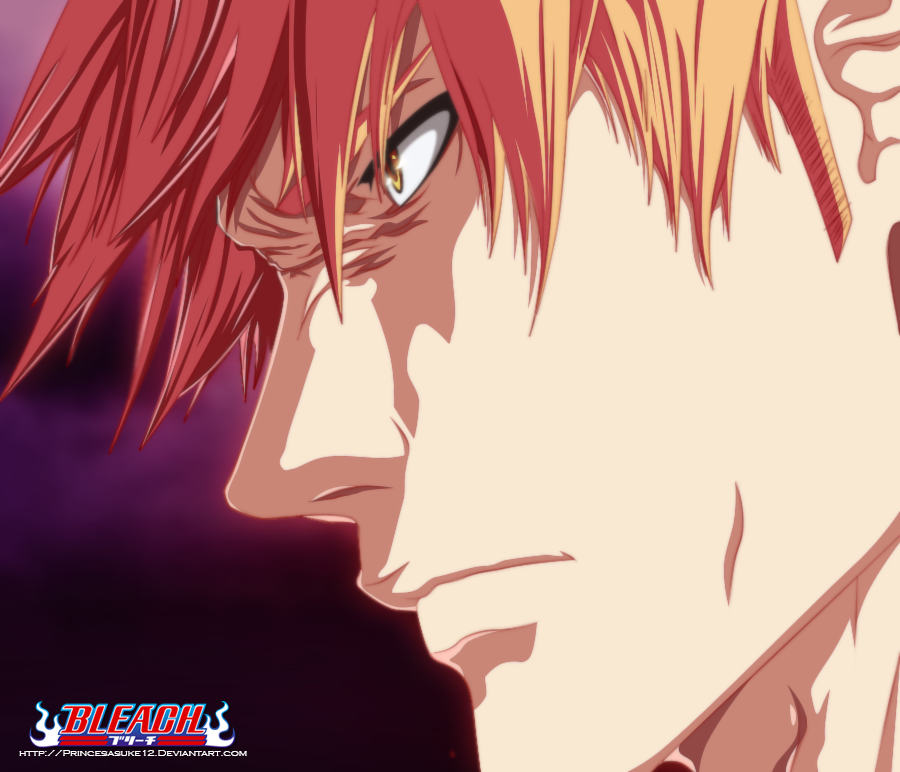 Bleach 512 : Protecting soul society!