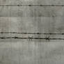 Concentration Camp-barbed wire