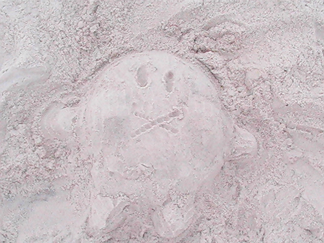 sand kirby