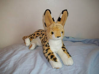 Laying serval plush