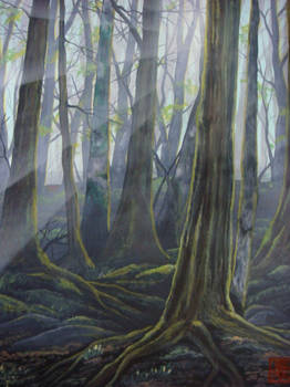 Misty forest 3