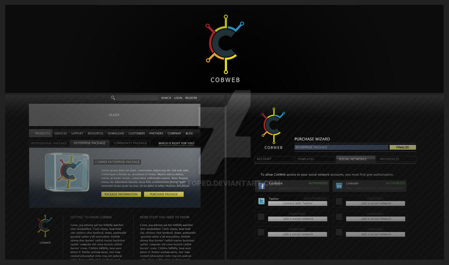 CobWeb Logo and Site by Octoped on DeviantArt