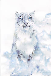 Snow Leopard