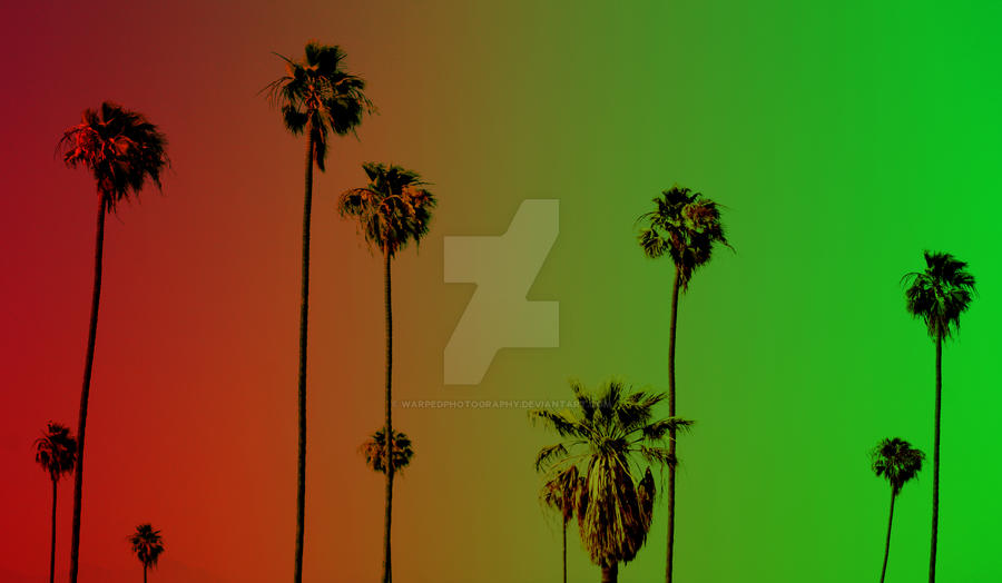 Sunset Rasta Rasta Palm Tree Sunset by warpedphotography on DeviantArt