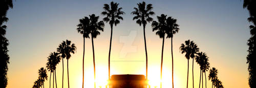 Palm Tree Row Mirrored Sunset