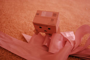 designer danbo