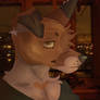 COYOTE