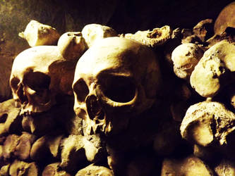 Catacomb Skulls
