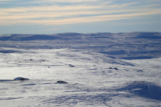 Hardangervidda VI