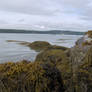 Seaweed Rock