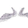 Wings (White)