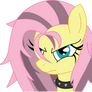 Flutterbitch