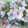 Castle Blossoms