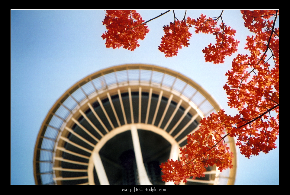 Fall Space Needle