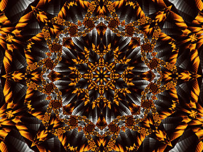 Kaleidoscope Design 13