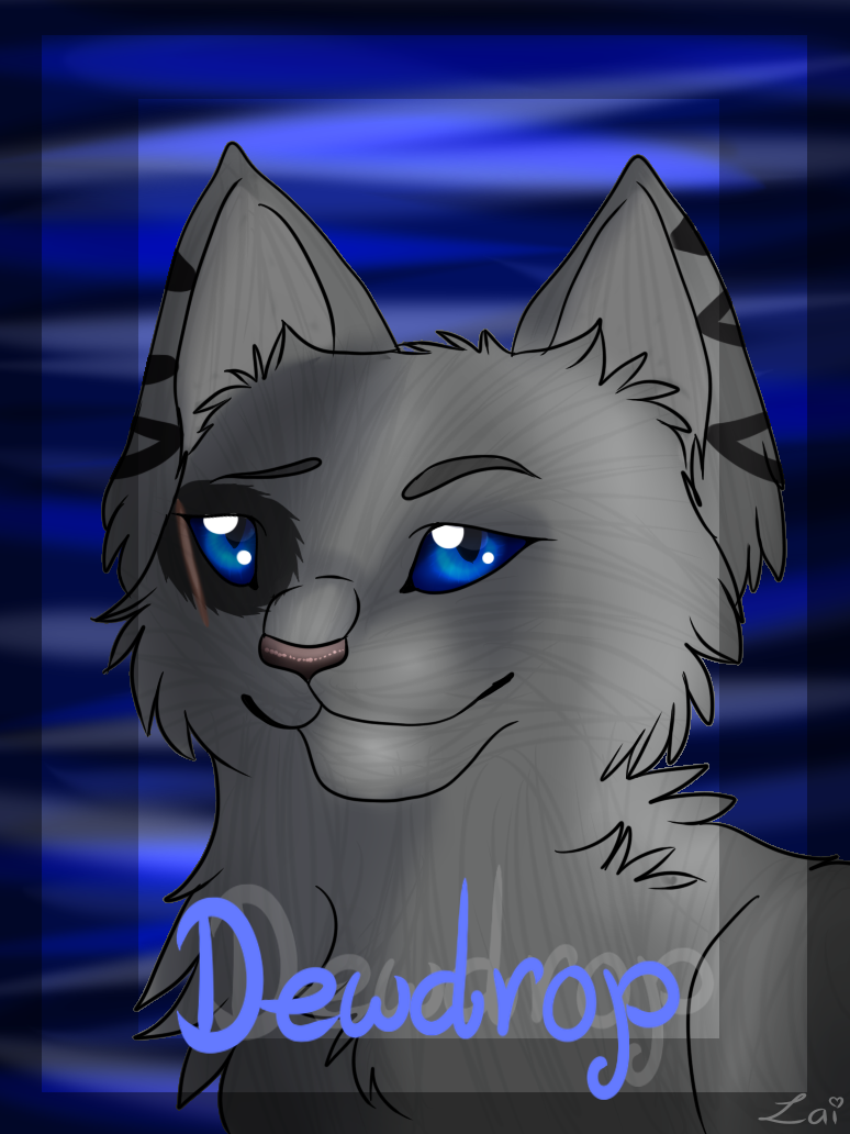 - RQ - Dewdrop Portrait