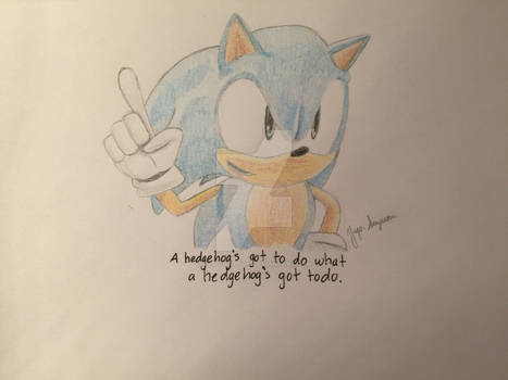 A Hedgehog Has To Do What Is Needed