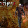 Witcher v2