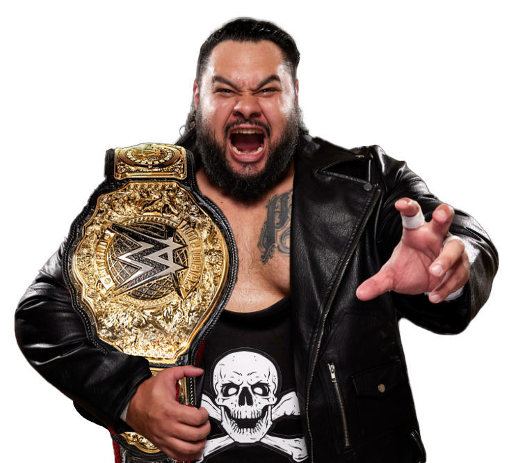 Bronson Reed World Heavyweight Champion Render by elsword959 on DeviantArt