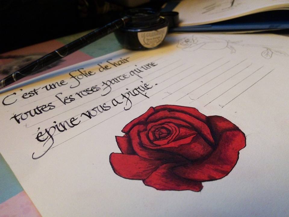 Citation Rose Petit Prince By Elrawien On Deviantart Citation Rose Petit Prince By Elrawien On Deviantart