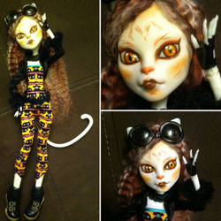 Monster High Custom: Calico