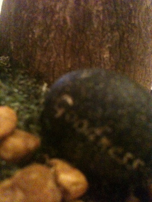 Goodness Rock. by Jasperizmaname on DeviantArt